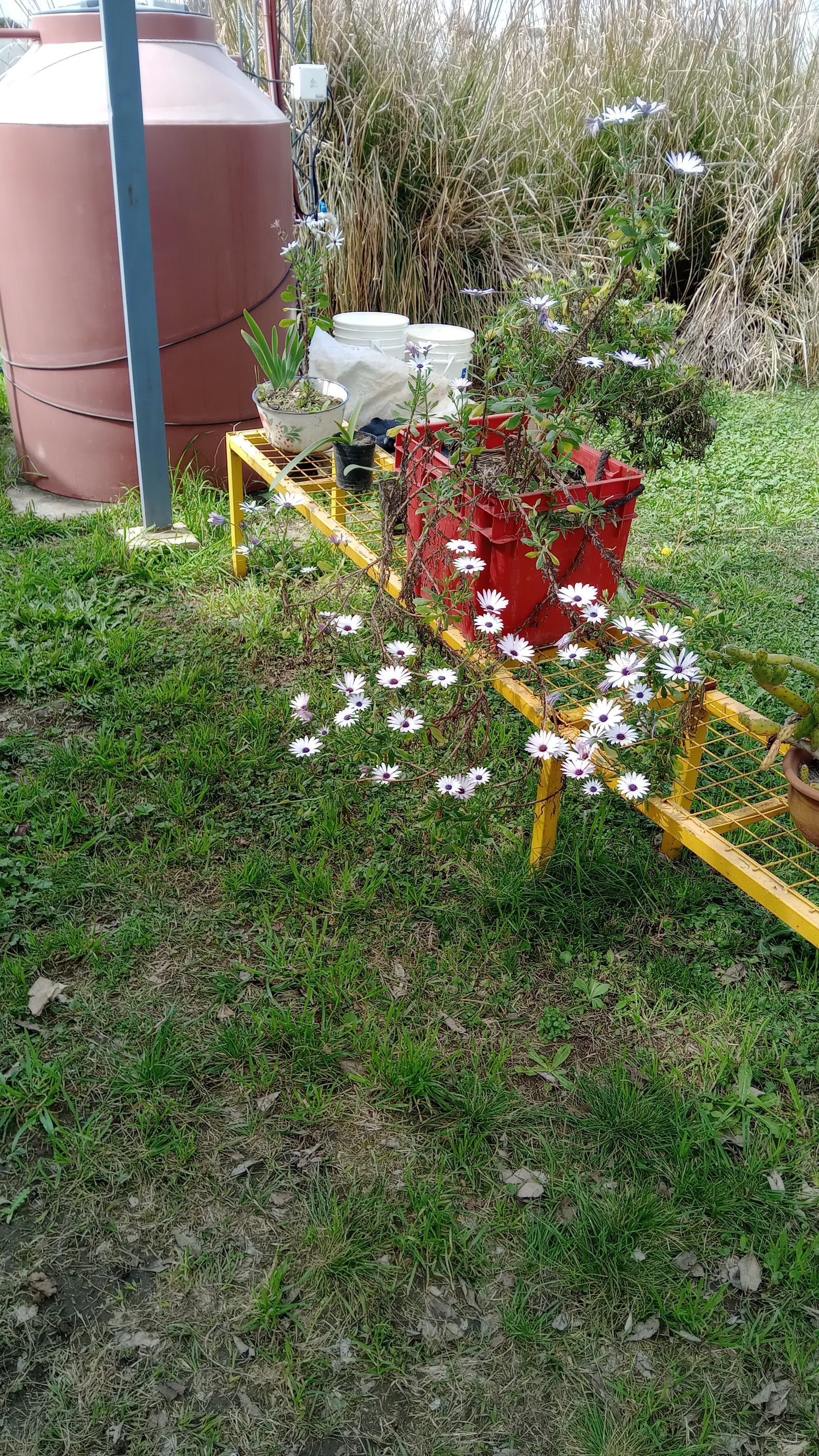 Cabaña Los Nogales - foto 4