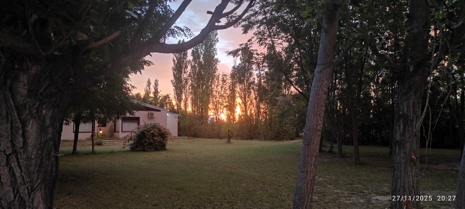 La Celestina II - foto 2