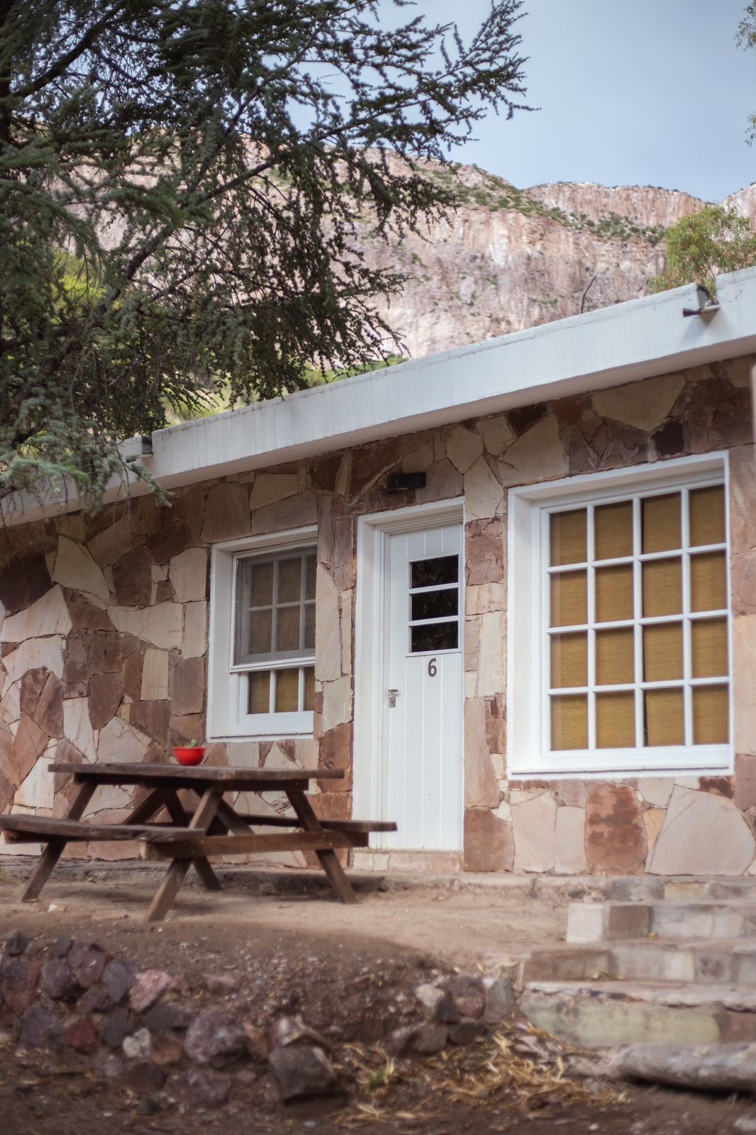 Bosque Divino Cabañas & Suites